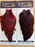 American Hen Capes - Black Laced White