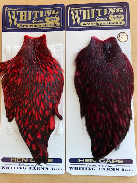 American Hen Capes - Black Laced White