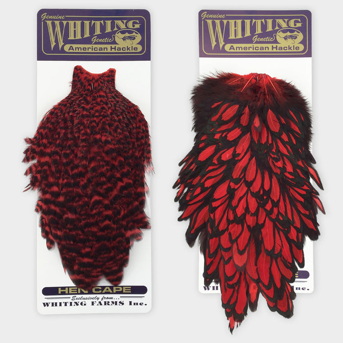 American Hen Saddle