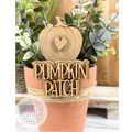 Pumpkin Patch Hugger Kit