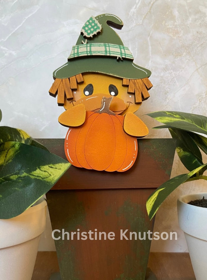 Scarecrow Duck with pumpkin Hugger Kit