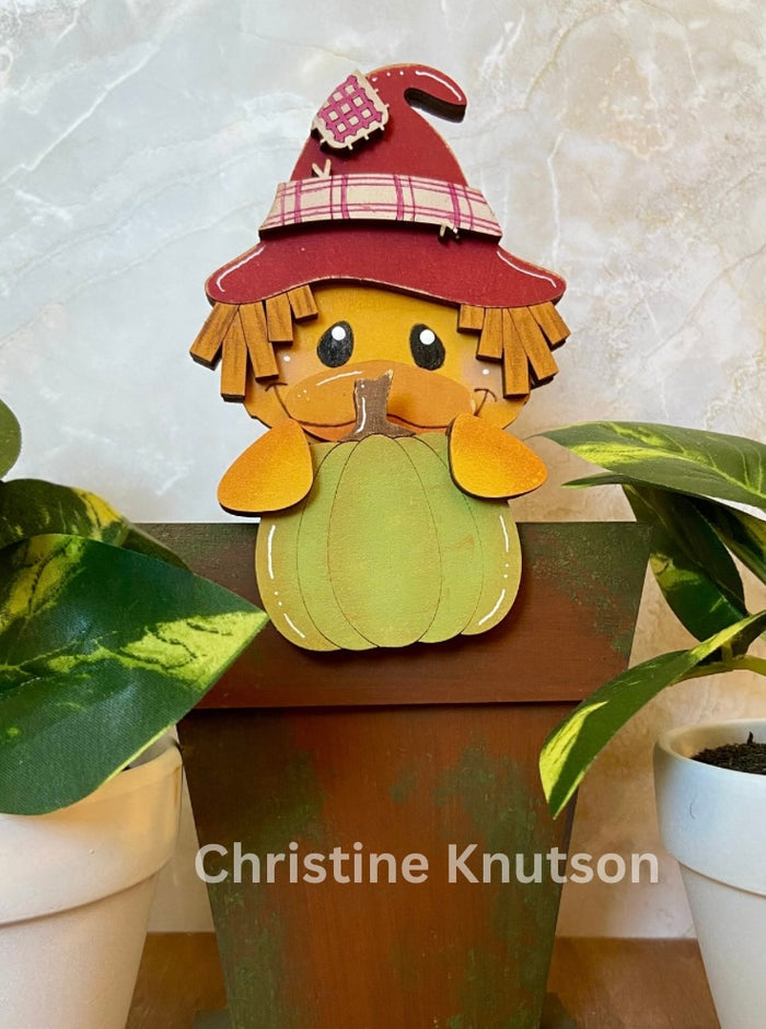 Scarecrow Duck with pumpkin Hugger Kit