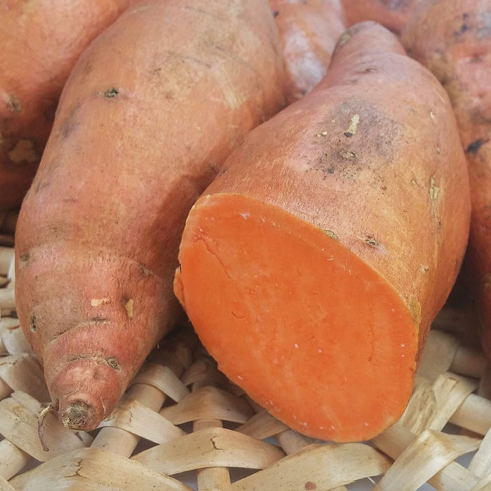 Sweet Potato Beauregard