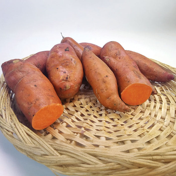 Sweet Potato Beauregard