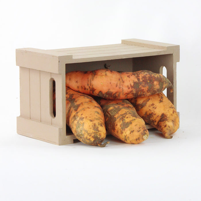 Sweet Potato Centennial