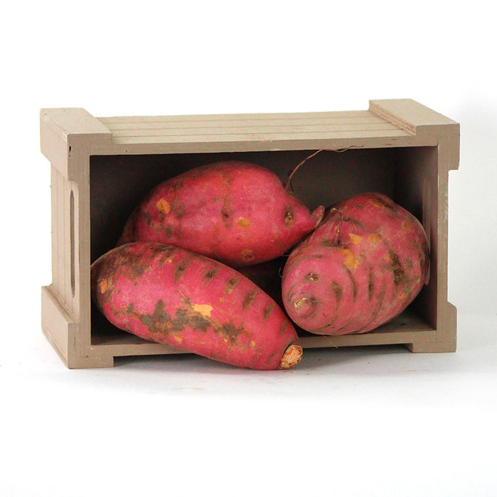 Sweet Potato Georgia Jet