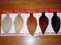 Whiting Hen Capes